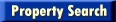Property Search